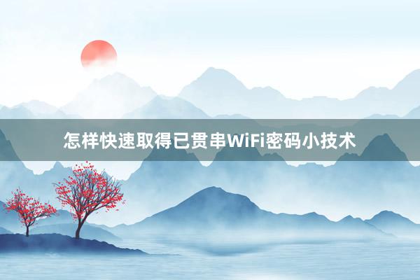 怎样快速取得已贯串WiFi密码小技术